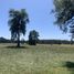  Terreno (Parcela) en venta en Los Ríos, Paillaco, Valdivia, Los Ríos