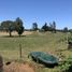  Terreno (Parcela) en venta en Los Ríos, Paillaco, Valdivia, Los Ríos