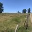  Terreno (Parcela) en venta en Los Ríos, Paillaco, Valdivia, Los Ríos
