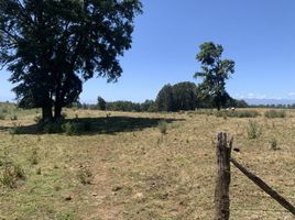  Terreno (Parcela) en venta en Los Ríos, Paillaco, Valdivia, Los Ríos