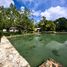 Terrain à vendre à Othon P Blanco, Quintana Roo, Othon P Blanco