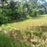  Land for sale in Selemadeg, Tabanan, Selemadeg