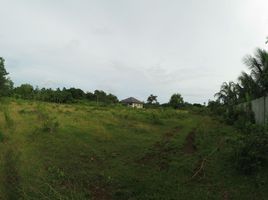  Land for sale in Dauis, Bohol, Dauis