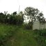  Land for sale in Bohol, Central Visayas, Dauis, Bohol