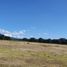  Land for sale in Tecamachalco, Puebla, Tecamachalco