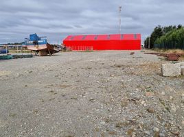  Land for rent in Chile, Puerto Montt, Llanquihue, Los Lagos, Chile