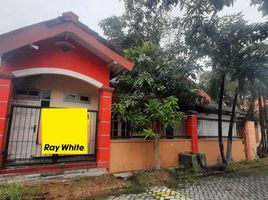 5 Schlafzimmer Villa zu verkaufen in Gunung Anyar, East Jawa, Gunung Anyar