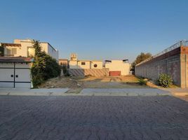  Grundstück zu verkaufen in Corregidora, Queretaro, Corregidora