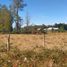  Land for sale in Chile, Villarrica, Cautin, Araucania, Chile