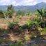  Land for sale in Purwakarta, West Jawa, Purwakarta, Purwakarta