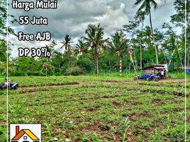  Land for sale in Kepanjen, Malang Regency, Kepanjen