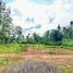  Land for sale in Malang Regency, East Jawa, Kepanjen, Malang Regency