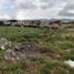  Land for sale in Tarimbaro, Michoacan, Tarimbaro