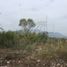  Land for sale in Allende, Nuevo Leon, Allende