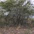  Land for sale in Allende, Nuevo Leon, Allende