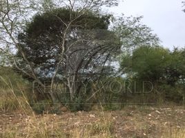  Land for sale in Allende, Nuevo Leon, Allende