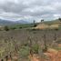  Terreno (Parcela) en venta en Melipilla, Santiago, Maria Pinto, Melipilla