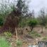  Terreno (Parcela) en venta en Santiago, Nuevo León, Santiago