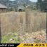  Land for sale in Canar, Javier Loyola Chuquipata, Azogues, Canar