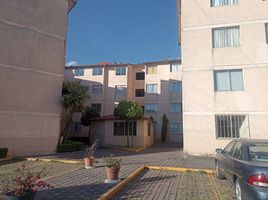 Appartement 3 chambre à louer à Toluca, Mexico, Toluca
