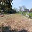  Land for sale in Yogyakarta, Gamping, Sleman, Yogyakarta