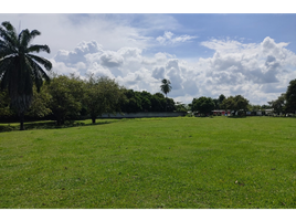  Land for sale in Tolima, Espinal, Tolima