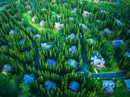  토지을(를) Tagaytay City, 카이트에서 판매합니다., Tagaytay City