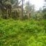  Land for sale in Selemadeg, Tabanan, Selemadeg