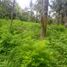  Land for sale in Selemadeg, Tabanan, Selemadeg