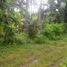  Land for sale in Selemadeg, Tabanan, Selemadeg