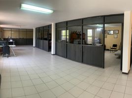 180 m² Office for rent in Hidalgo, Pachuca De Soto, Hidalgo