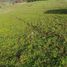 Terreno (Parcela) en venta en Chile, Temuco, Cautín, Araucanía, Chile