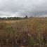  Land for sale in Jerecuaro, Guanajuato, Jerecuaro