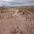  Land for sale in Jerecuaro, Guanajuato, Jerecuaro