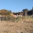 Terreno (Parcela) en venta en Tonala, Jalisco, Tonala, Jalisco
