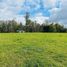  Land for sale in Chile, Villarrica, Cautin, Araucania, Chile