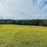  Land for sale in Chile, Villarrica, Cautin, Araucania, Chile