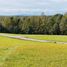  Land for sale in Chile, Villarrica, Cautin, Araucania, Chile
