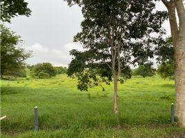  Land for sale in Santa Rosa, Bolivar, Santa Rosa