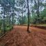  Terreno (Parcela) en venta en Mazamitla, Jalisco, Mazamitla