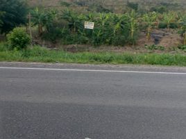  Land for sale in San Martin, Tarapoto, San Martin, San Martin