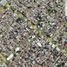  Land for sale in Guadalajara, Jalisco, Guadalajara, Jalisco