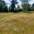  Land for sale in Chile, Mariquina, Valdivia, Los Rios, Chile