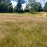  Land for sale in Chile, Mariquina, Valdivia, Los Rios, Chile