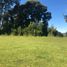  Land for sale in Chile, Mariquina, Valdivia, Los Rios, Chile