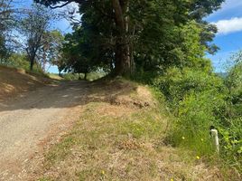 Land for sale in Chile, Mariquina, Valdivia, Los Rios, Chile