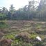  Land for sale in Pengasih, Kulon Progo, Pengasih