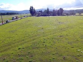  Land for sale in Angol, Malleco, Angol
