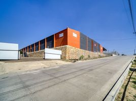 Studio Haus zu verkaufen in Tecate, Baja California, Tecate