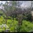  Terreno (Parcela) en venta en Biobío, Quillego, Biobío, Biobío